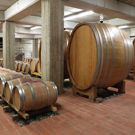 Гостьовий будинок Poderi Firenze Cinigiano Екстер'єр фото