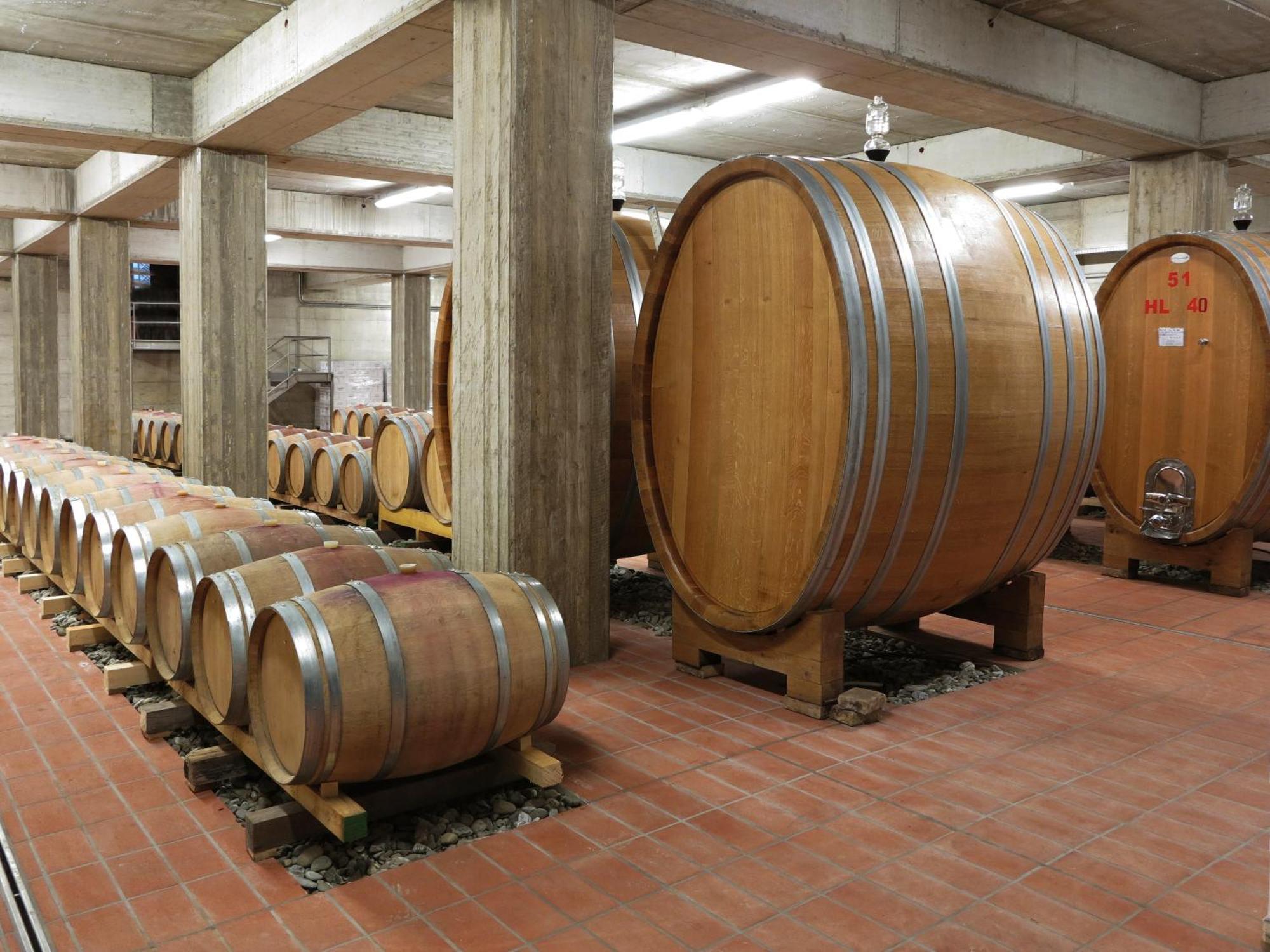 Гостьовий будинок Poderi Firenze Cinigiano Екстер'єр фото