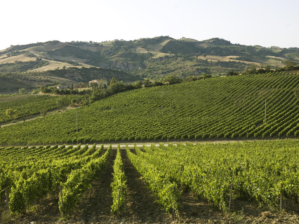 Гостьовий будинок Poderi Firenze Cinigiano Екстер'єр фото